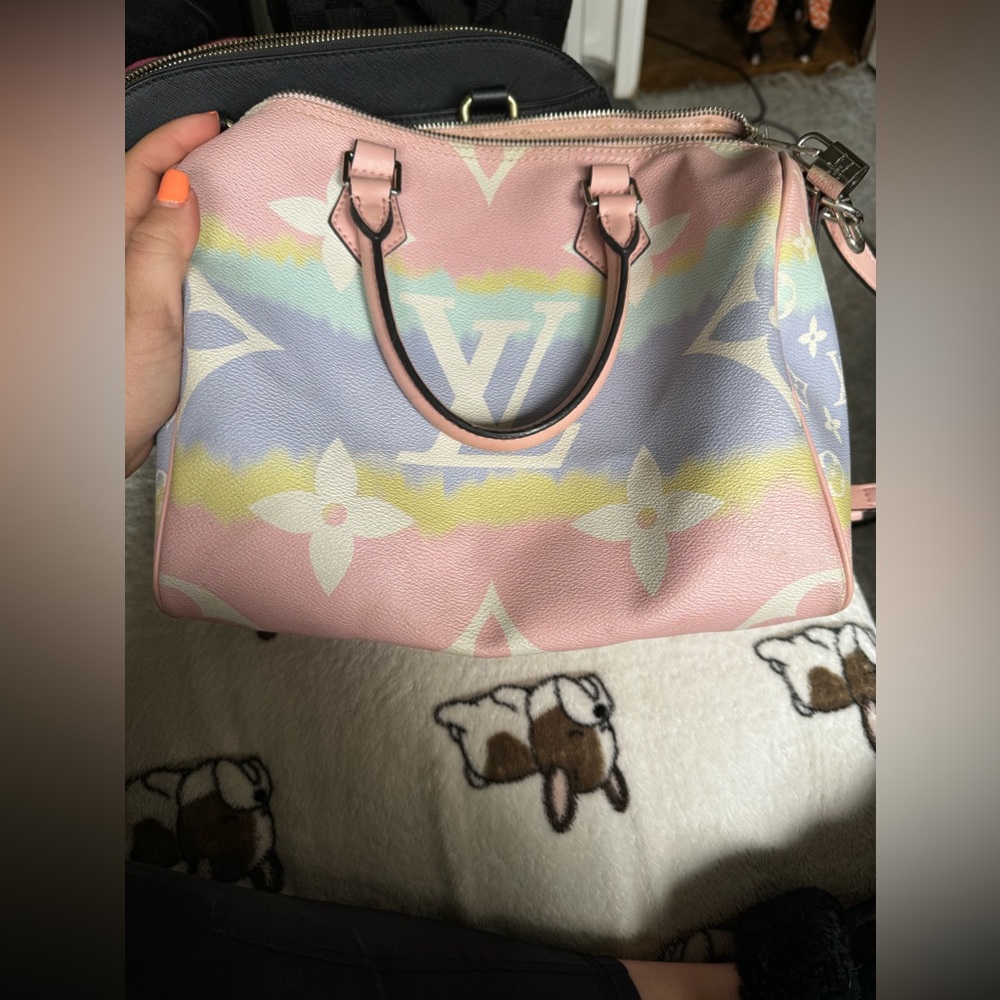 LV purse